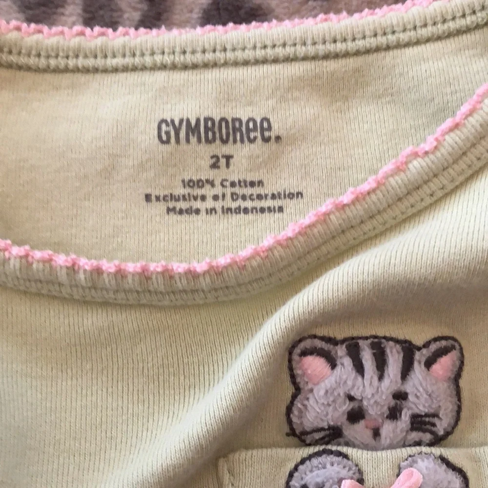2008 Gymboree Light Green Cat Graphic Long Sleeve Top Size 2T